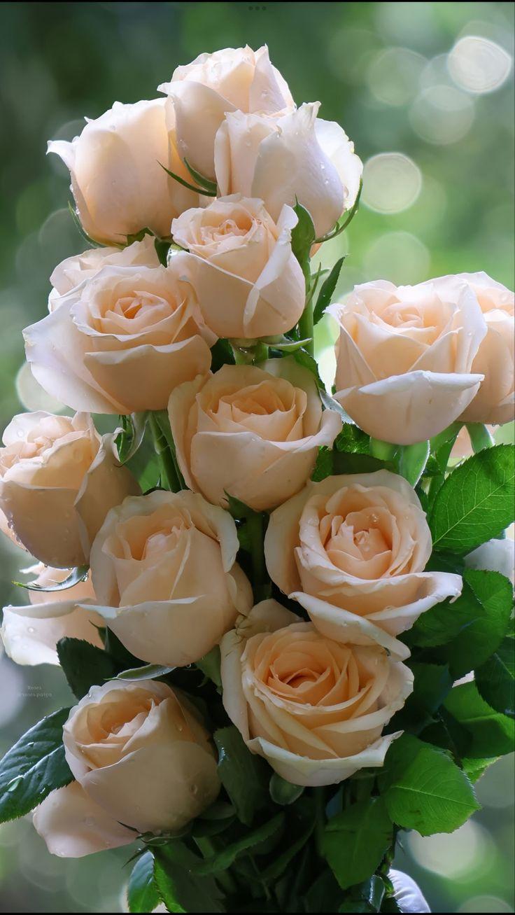 Corporate meeting room with carefully timed floral arrangements that maintain elegance throughout business hours